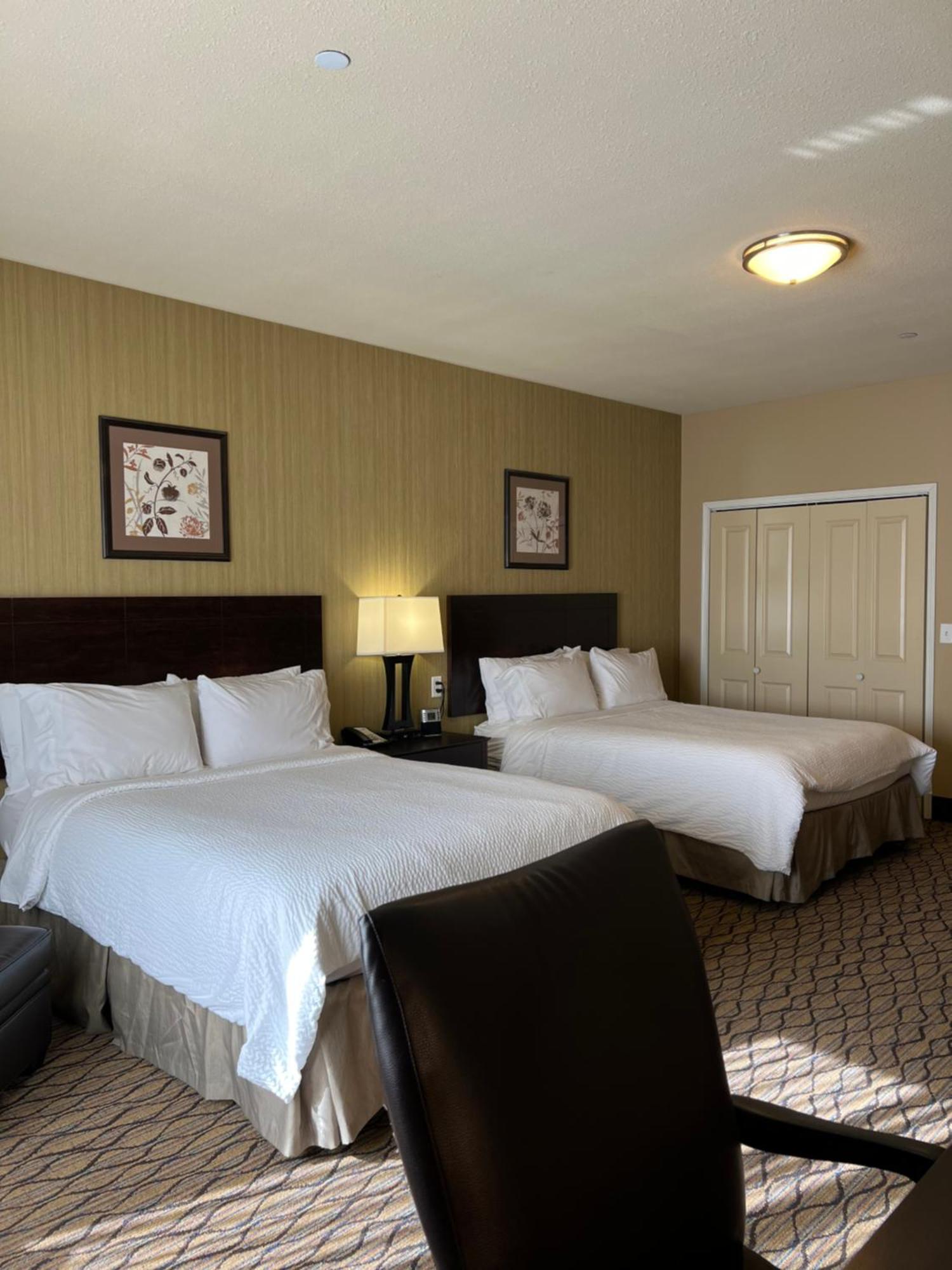 Holiday Inn Express & Suites - Williston By Ihg Buitenkant foto